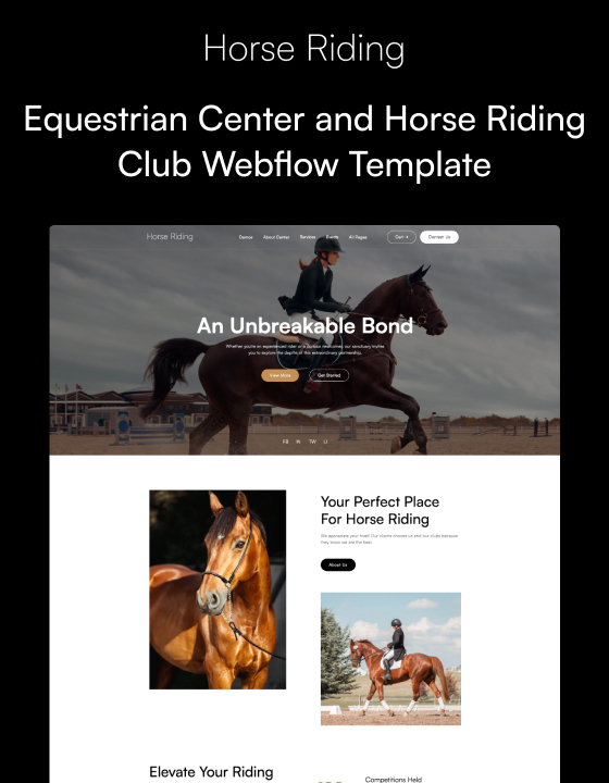 Horse Riding — web Flow™