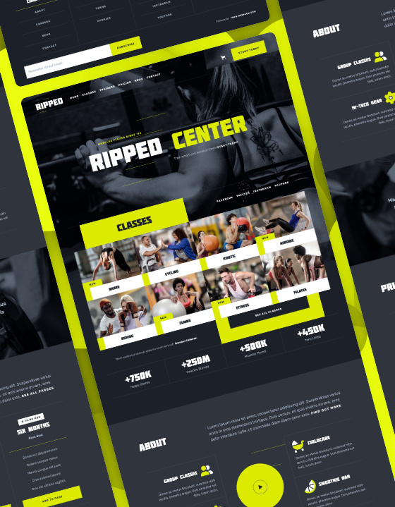 Ripped — web Flow™