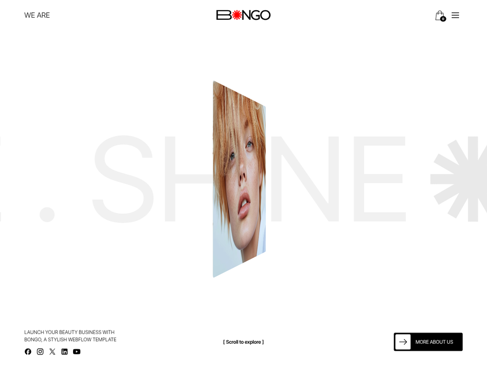 Bongo — view 1