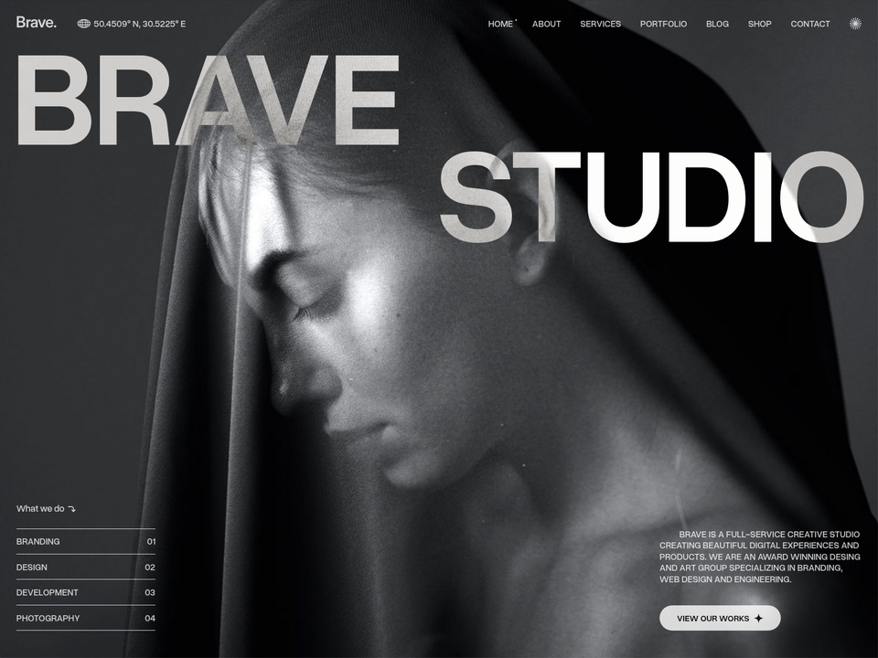 Brave Studio — view 1