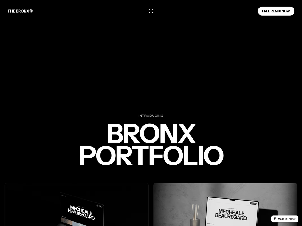 Bronx — view 3