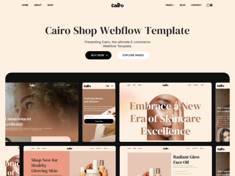 Cairo — view 6