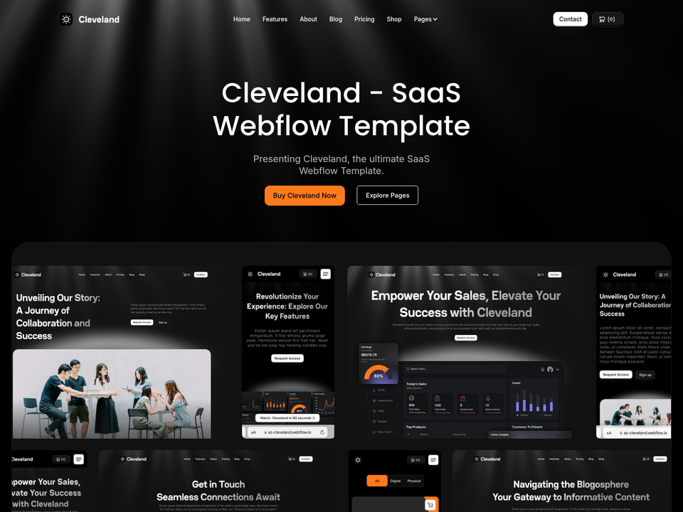 Cleveland — view 6