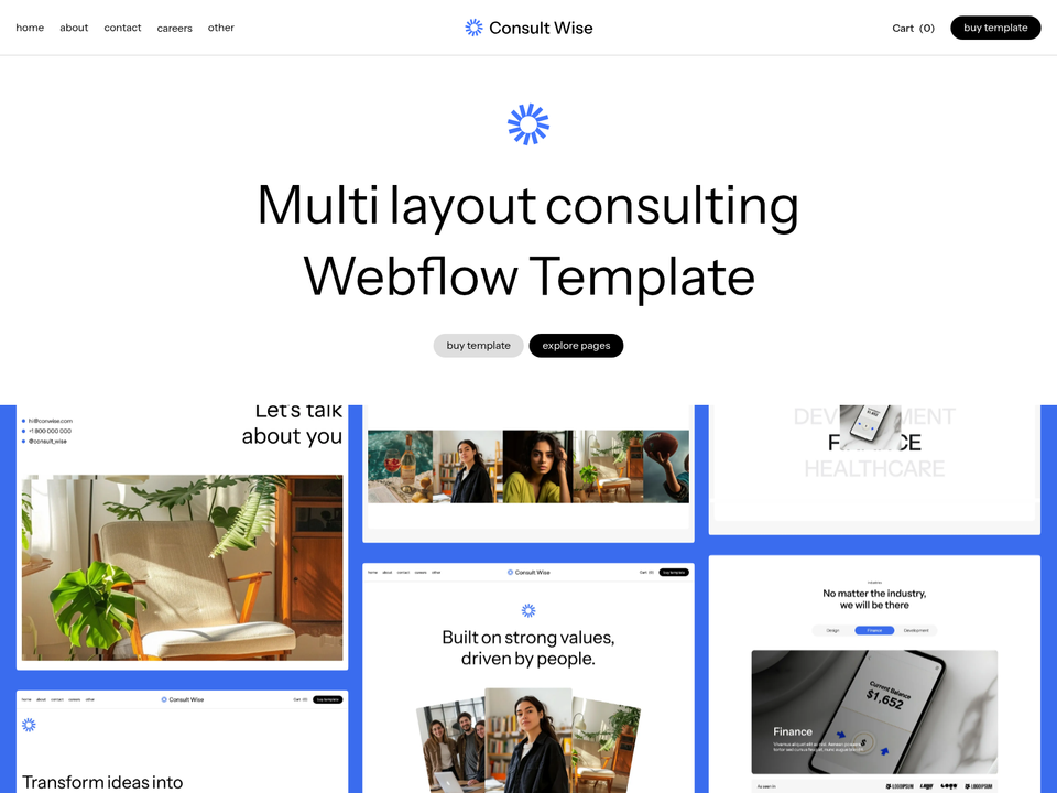 Consult Wise — view 1