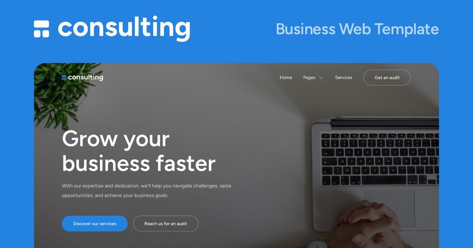 Consulting — vista 1
