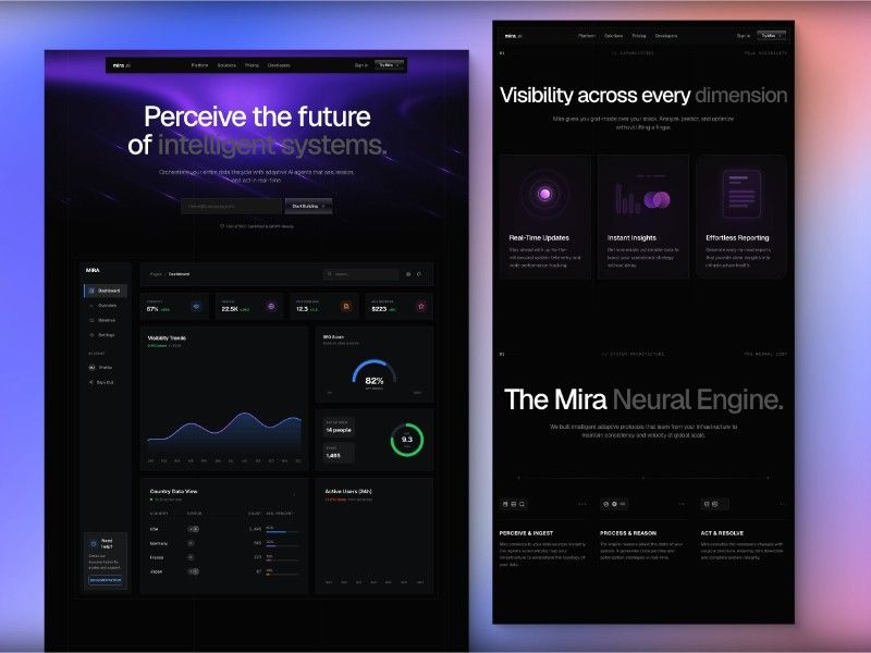 Mira ANL — web Flow™