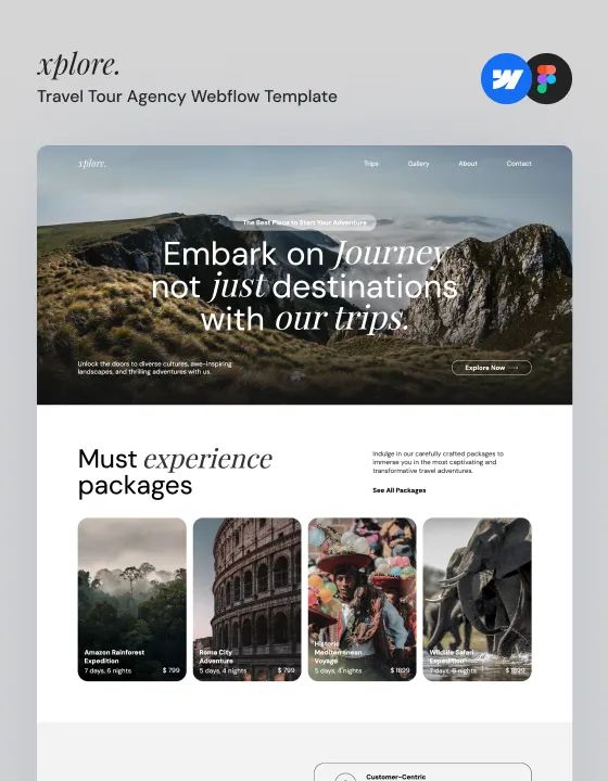 X-plore — web Flow™