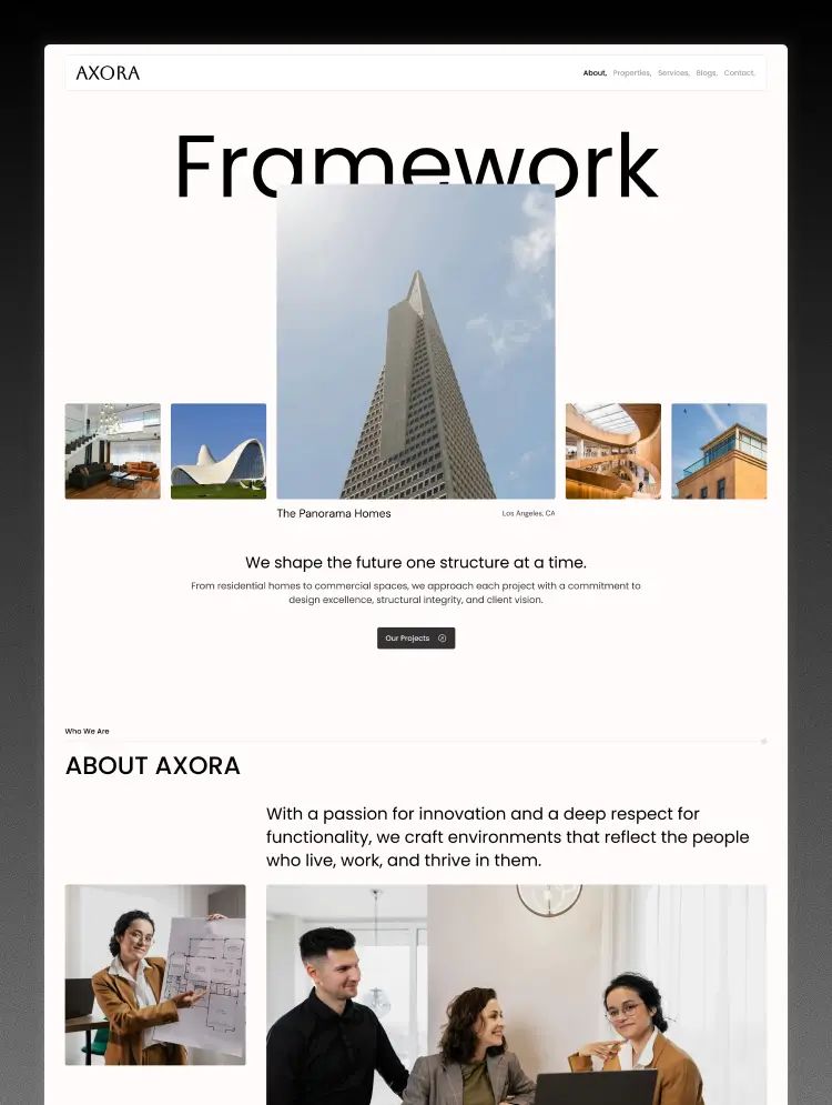 Axora — web Flow™