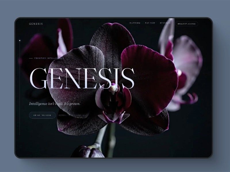 Genesis — web Flow™