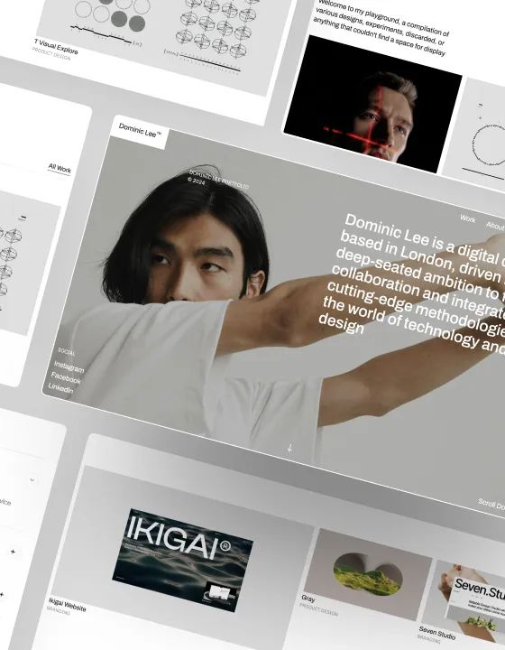 Dominic — web Flow™