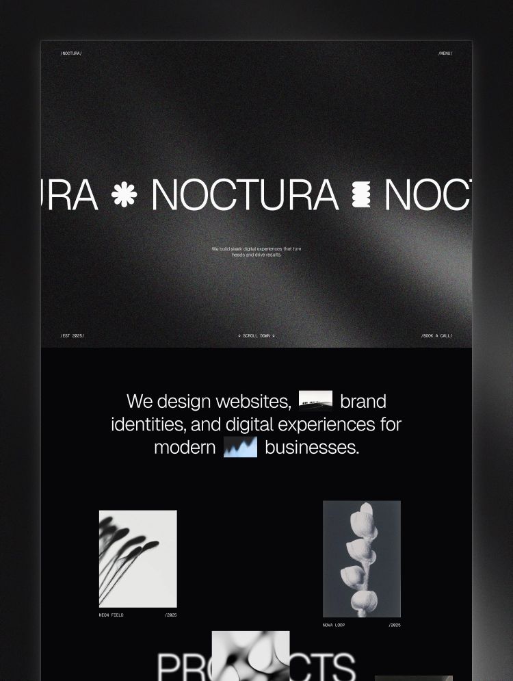 Noctura — web Flow™