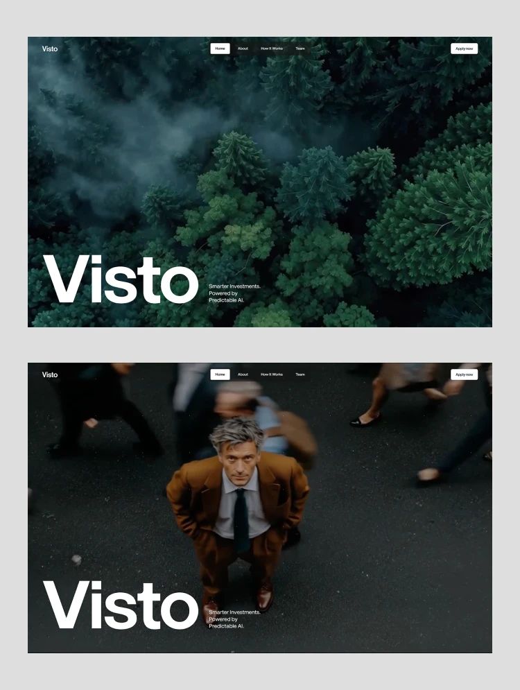 Visto — web Flow™