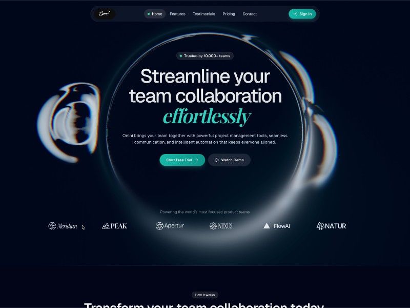Omni — web Flow™
