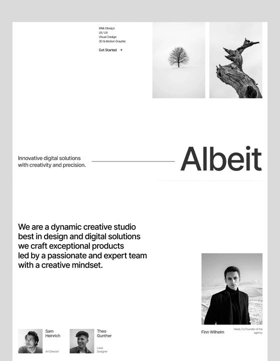 Albeit — web Flow™