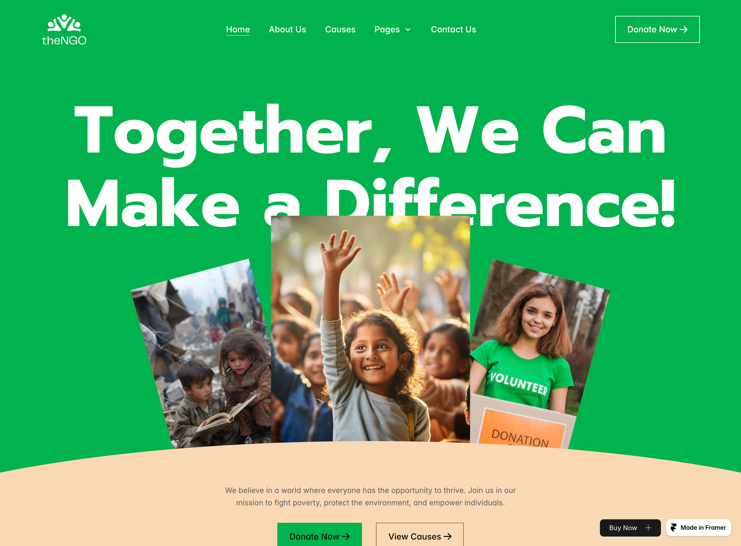TheNGO — web Flow™
