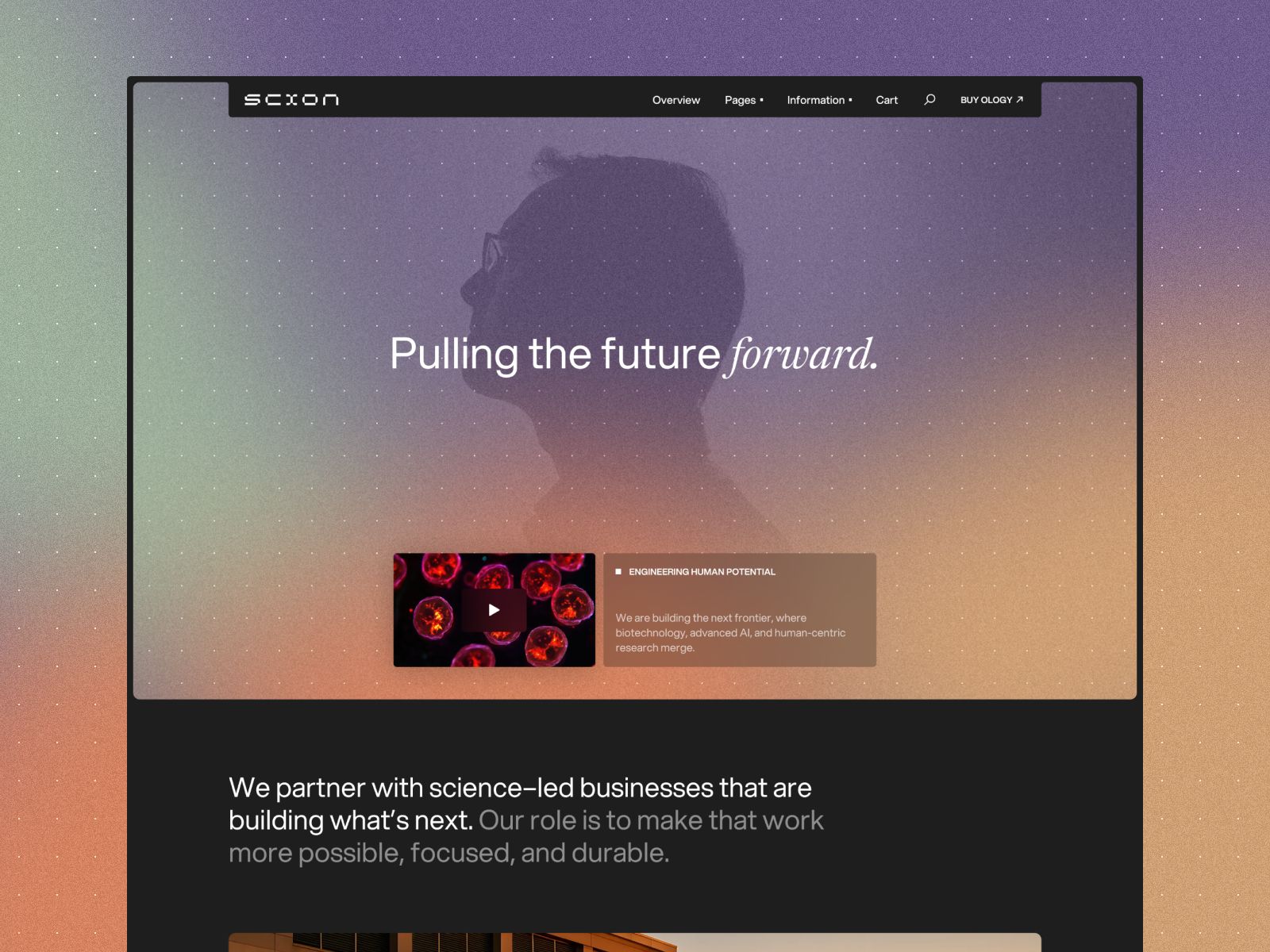 Scion — web Flow™
