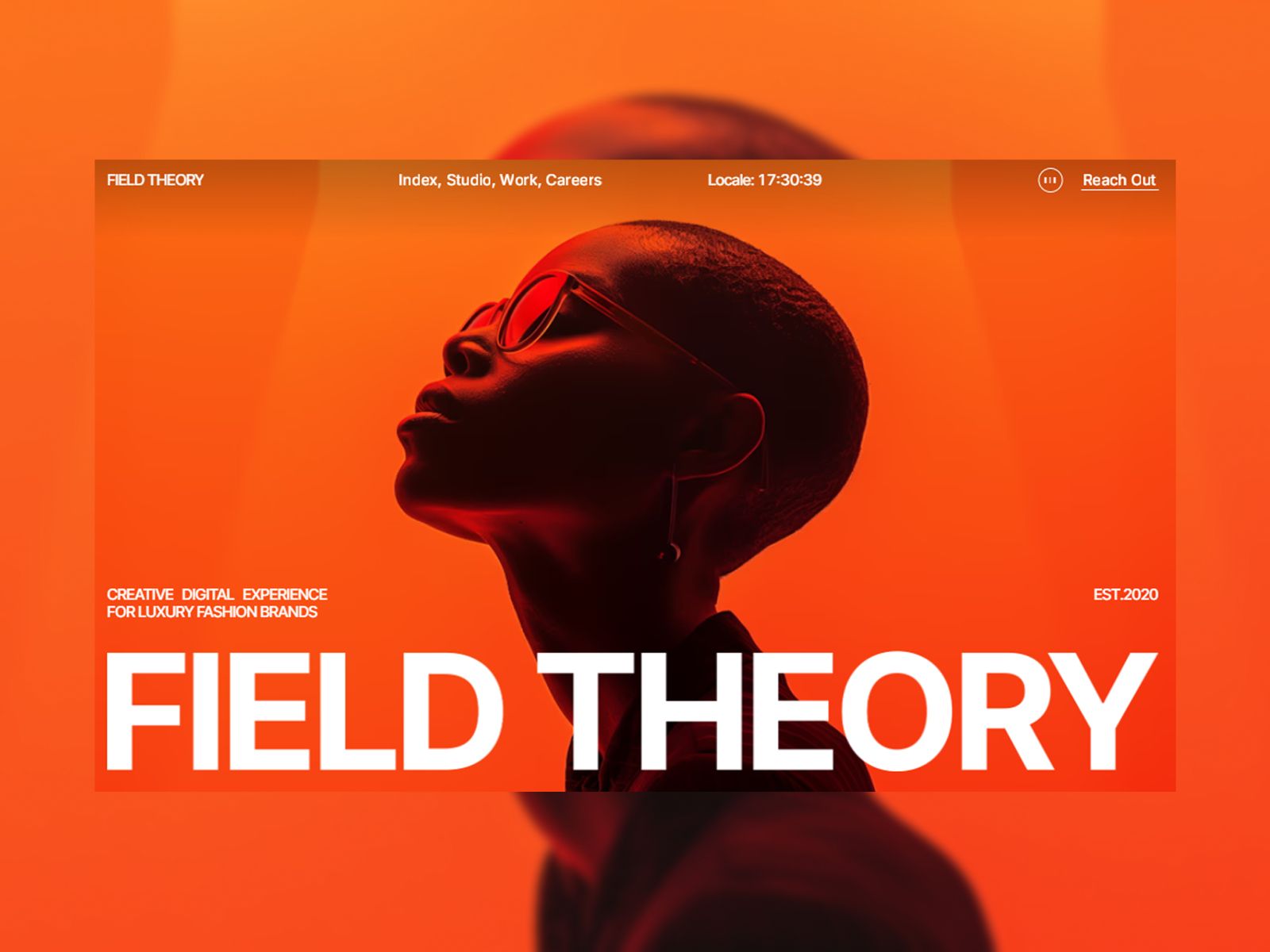Field Theory — web Flow™
