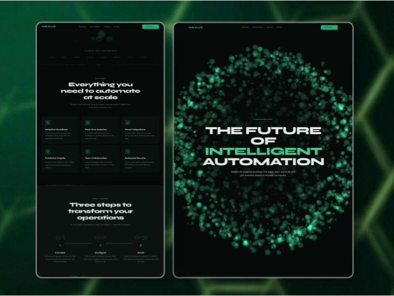Nexus INT — web Flow™