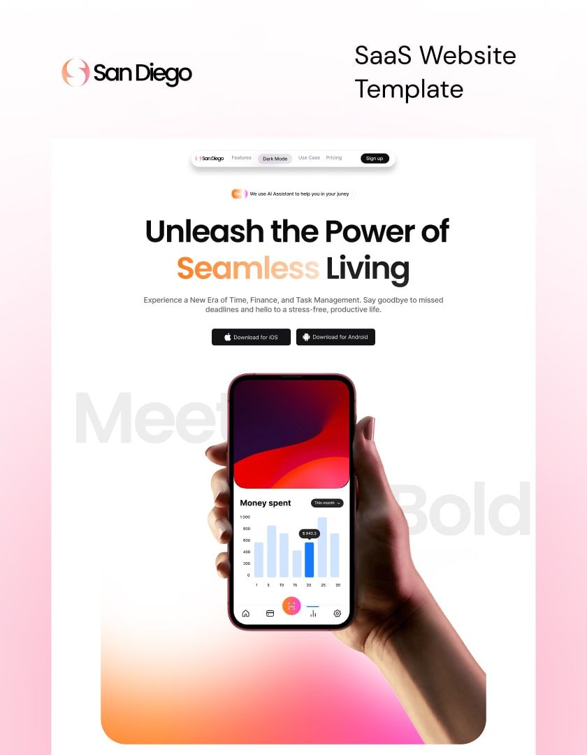San Diego — web Flow™