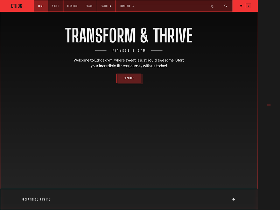 Ethos — view 3