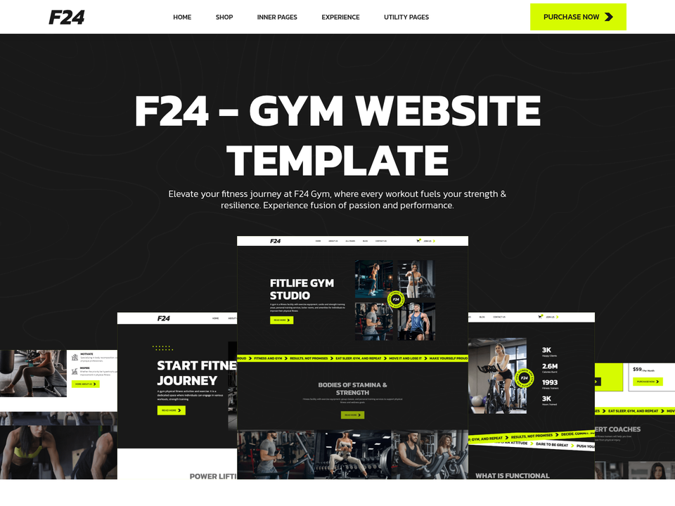 F24 — view 3