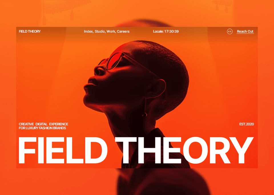 Field Theory — vista 1