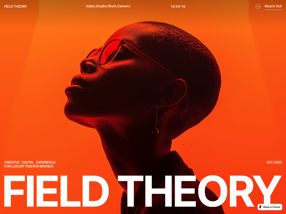 Field Theory — vista 2