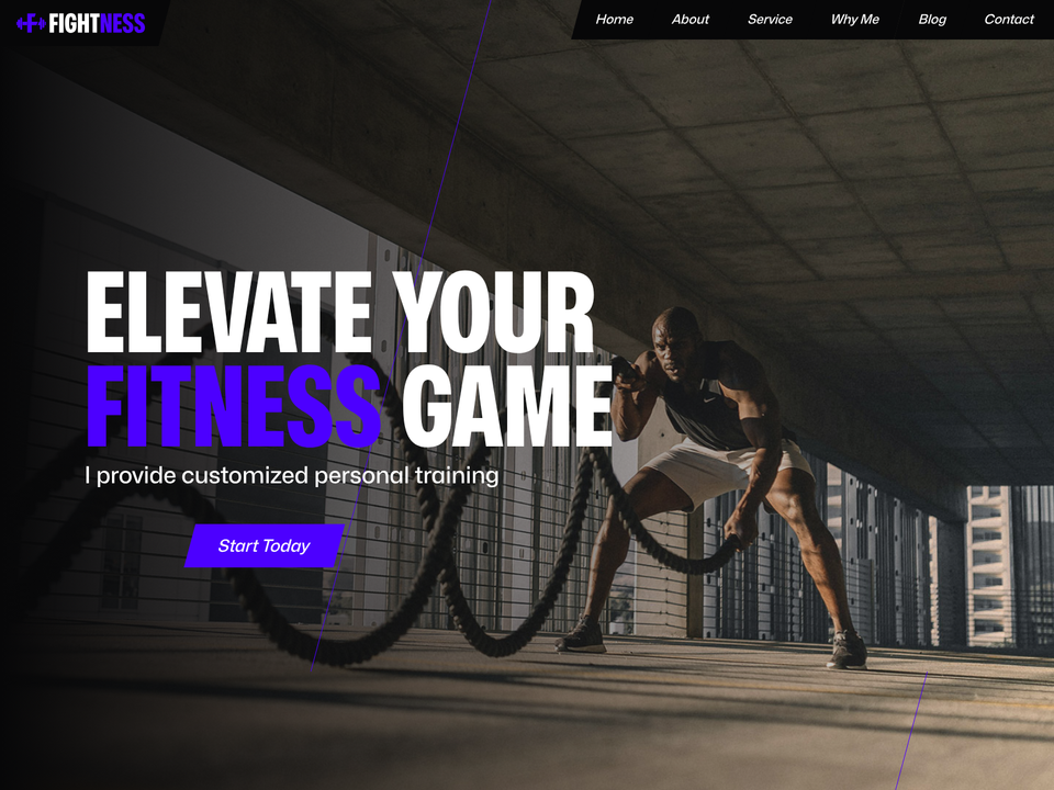 FIGHTNESS CMS — view 1