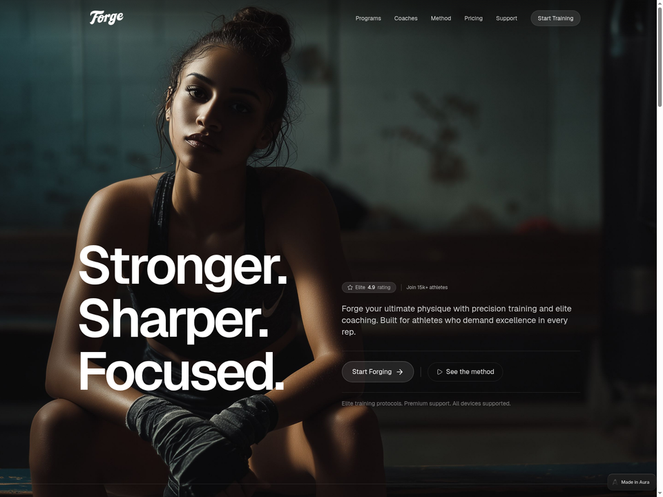 Forge — view 1