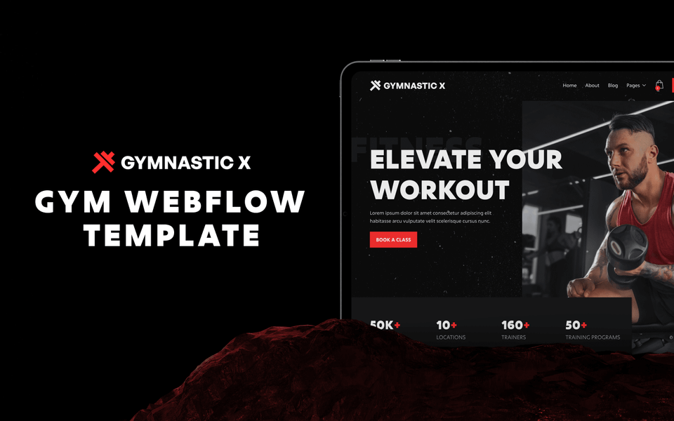 Gymnastic X — view 1