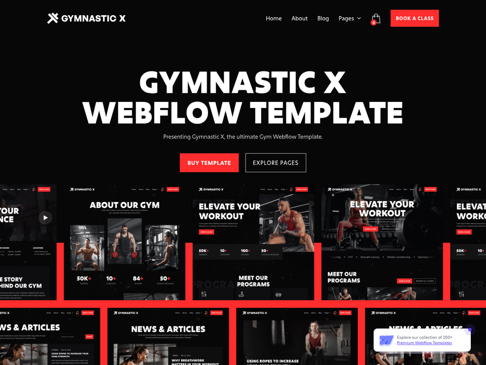 Gymnastic X — view 3