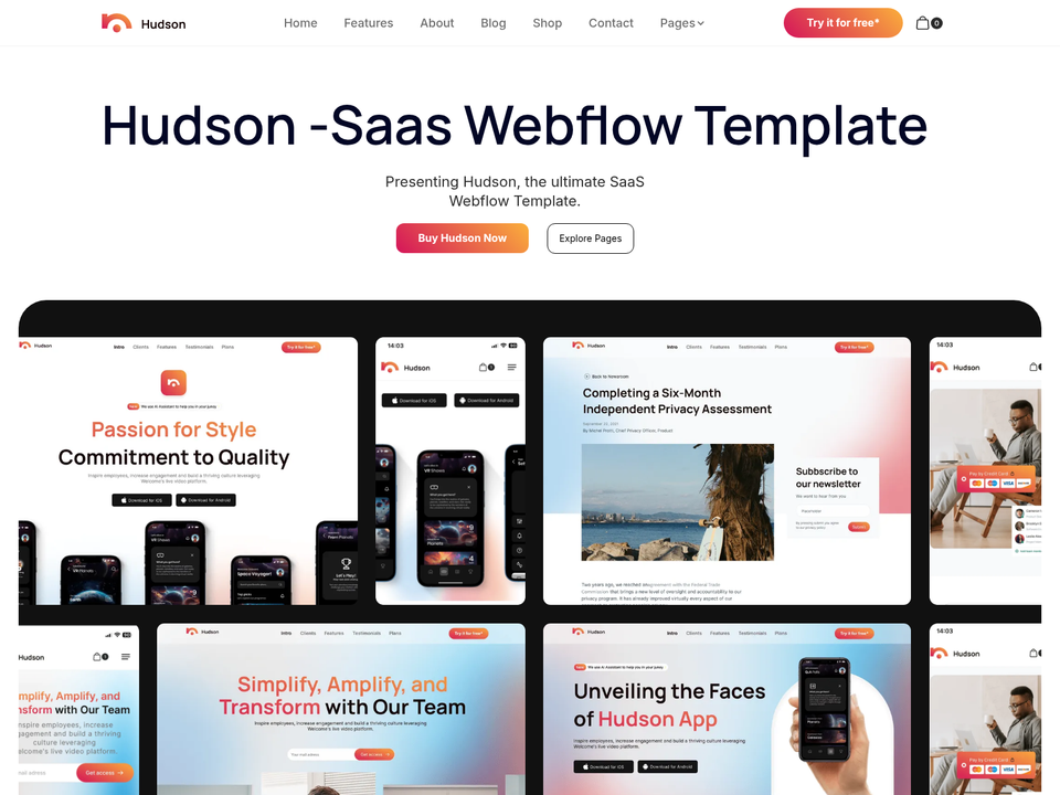 Hudson — view 6