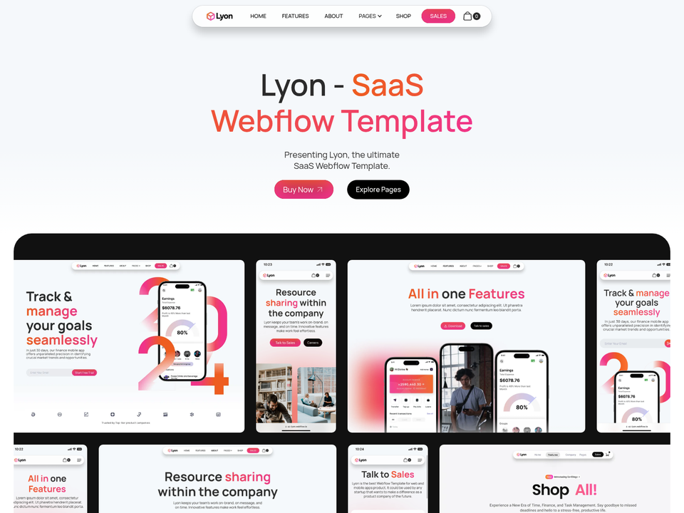 Lyon — view 6
