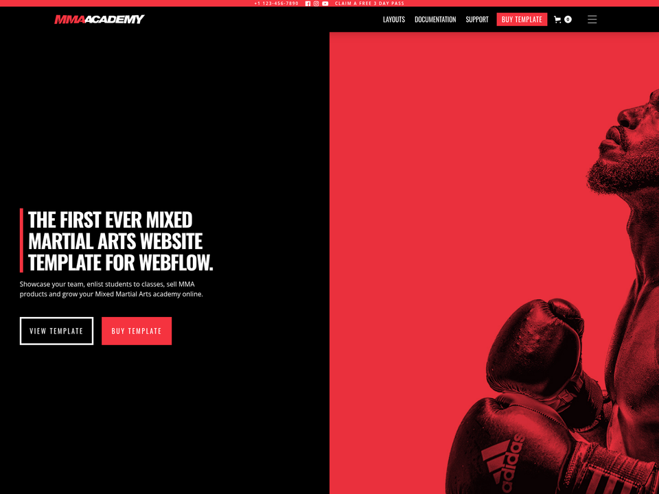 MMA Academy — view 3