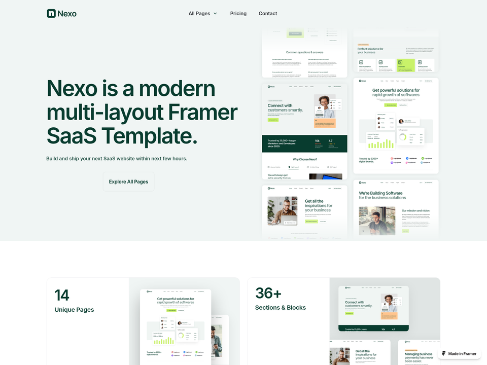 Nexo — view 3