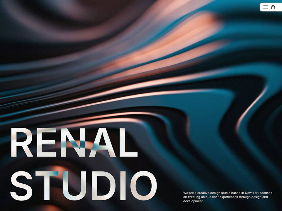 Renal Studio — view 1