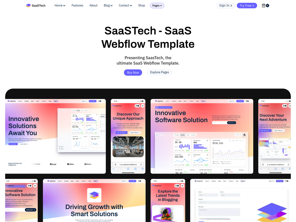 SaasTech — view 6