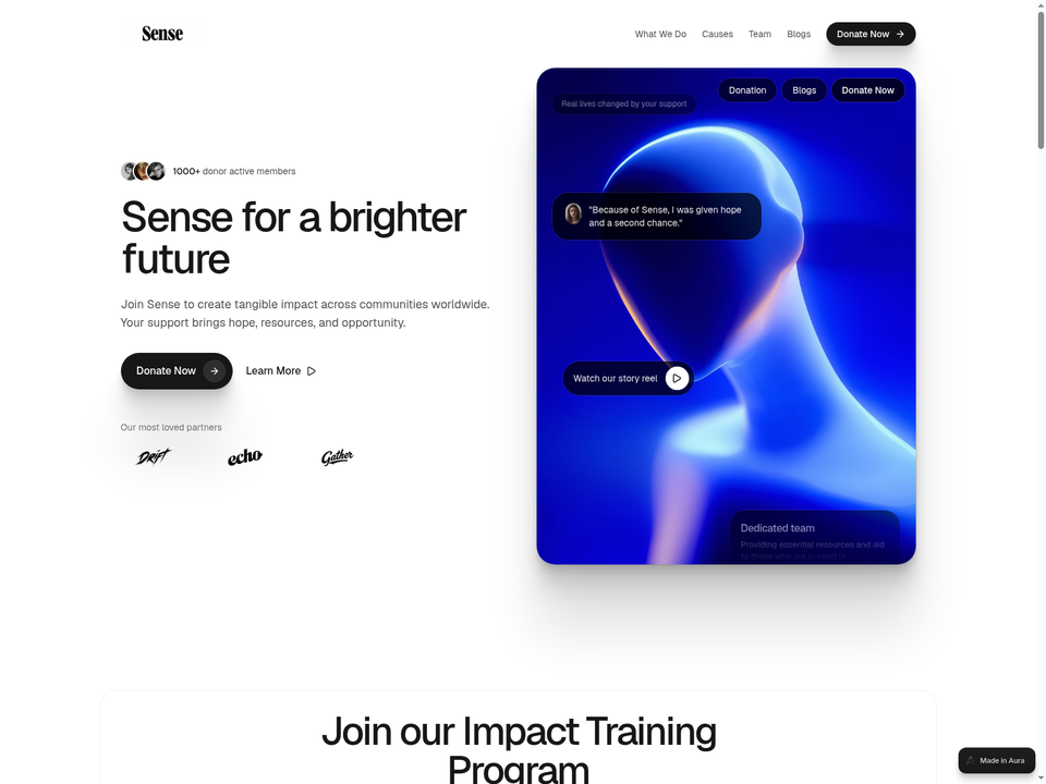 Sense — view 1