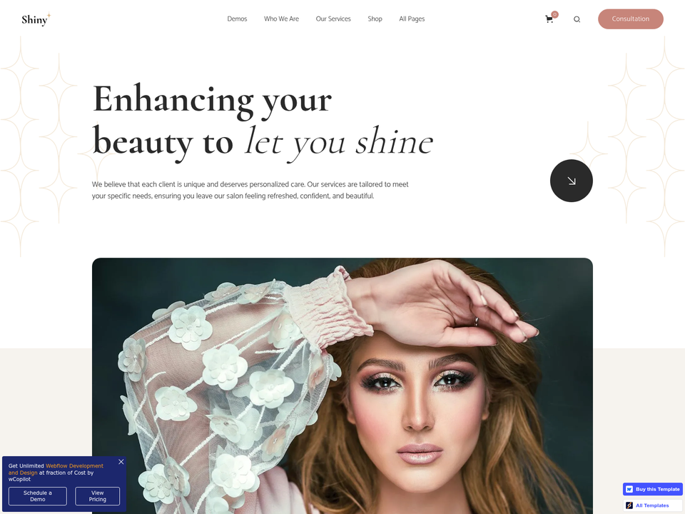 Shiny — view 3