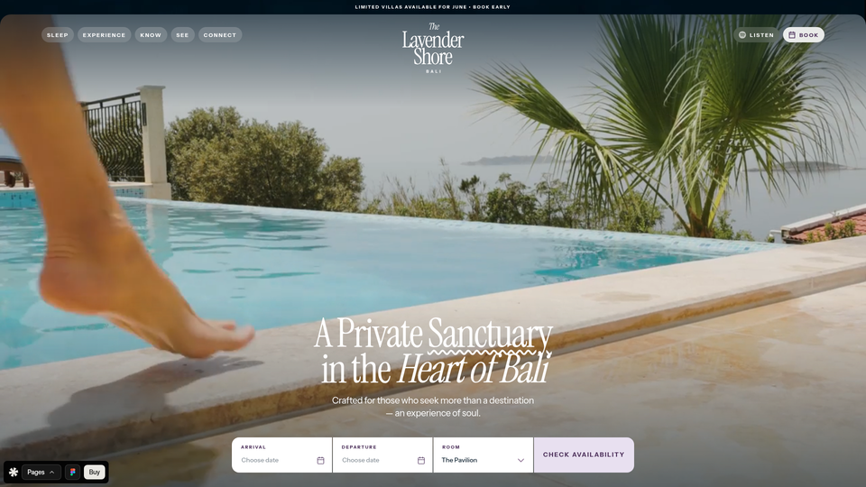 The Lavender Shore — view 1