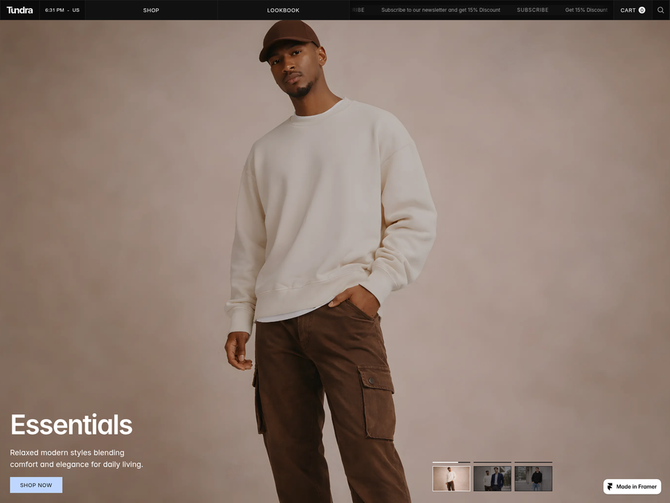 Tundra — view 2